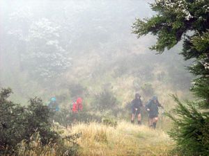 Image of tn_fmhurunui084h.jpg