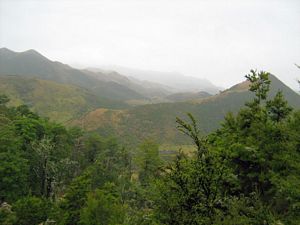 Image of tn_fmhurunui084o.jpg