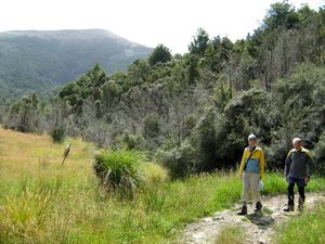 Image of tn_fmhurunui084y.jpg