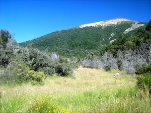 Image of tn_fmhurunui086a.jpg