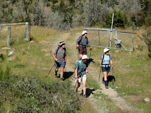 Image of tn_fmhurunui086f.jpg