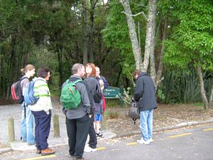 Image of tn_fungiapr08abstart.jpg