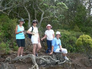 Image of tn_fzrangitot08ob.jpg