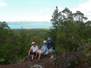 Image of tn_fzrangitoto08c.jpg