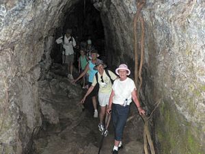 Image of tn_fzrangitoto08f.jpg