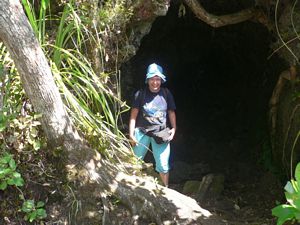 Image of tn_fzrangitoto08g.jpg