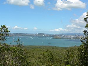Image of tn_fzrangitoto08h.jpg