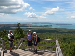 Image of tn_fzrangitoto08hf.jpg