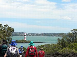 Image of tn_fzrangitoto08hg.jpg