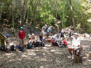 Image of tn_fzrangitoto08ilunch.jpg