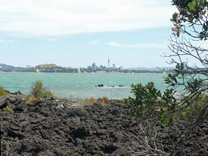 Image of tn_fzrangitoto08j.jpg