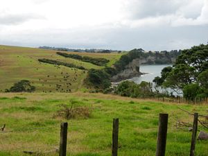 Image of tn_galongbayfeb08dbview.jpg