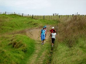 Image of tn_galongbayfeb08ditrack.jpg