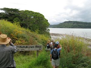 Image of tn_galongbayfeb08fapohutukawabay.jpg