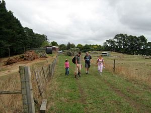 Image of tn_geparerekau08casettingout.jpg