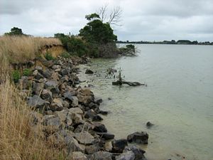 Image of tn_geparerekau08ddcoast.jpg