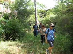 Image of tn_geparerekau08lebush.jpg