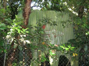 Image of tn_gfsymphony08aeheffalump.jpg