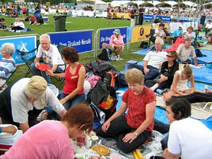 Image of tn_gfsymphony08bcpicnic.jpg