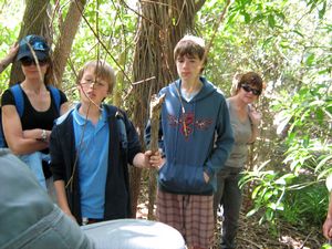 Image of tn_glendowie08bistop.jpg