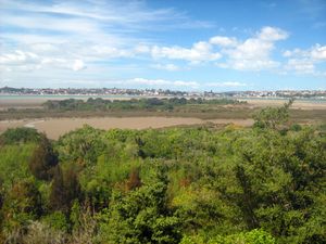 Image of tn_glendowie08cbview.jpg