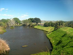 Image of tn_glendowie08dapond.jpg