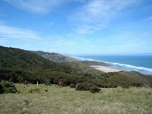 Image of tn_goldenstairs08f.jpg