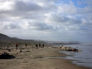 Image of tn_goldenstairs08i.jpg