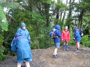 Image of tn_hatairua08bcstart.jpg