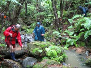 Image of tn_hatairua08bgstream.jpg