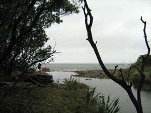 Image of tn_hatairua08cacoast.jpg