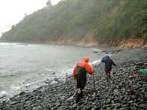 Image of tn_hatairua08cccove.jpg