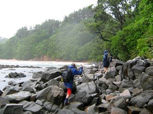 Image of tn_hatairua08ceposhbeach.jpg