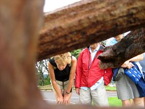 Image of tn_hatairua08hcblock.jpg