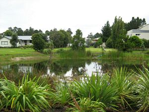 Image of tn_hatairua08icpond.jpg