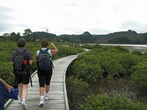 Image of tn_hatairua08jaboardwalk.jpg