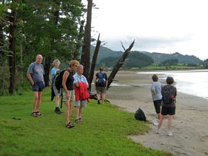 Image of tn_hatairua08kbtracksend.jpg