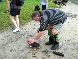 Image of tn_hatairua08kepoodle.jpg