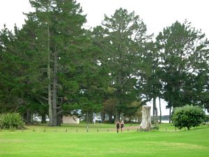 Image of tn_hatairua08letrack.jpg