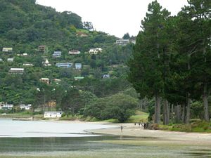 Image of tn_hatairua08lgbeach.jpg