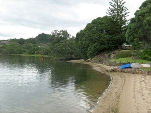 Image of tn_hatairua08mkbeach.jpg