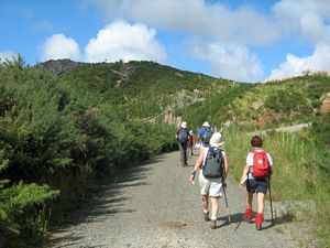 Image of tn_hbmoirshillmar08batrack.jpg