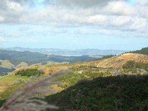 Image of tn_hbmoirshillmar08bckaiparaharbour.jpg