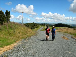 Image of tn_hbmoirshillmar08cctrack.jpg