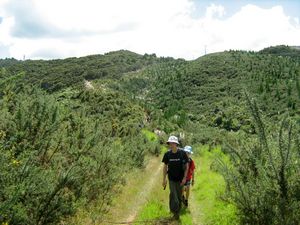 Image of tn_hbmoirshillmar08dftrack.jpg