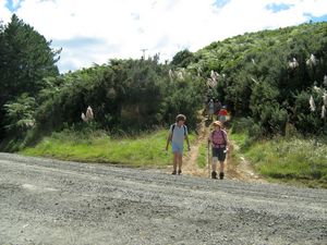 Image of tn_hbmoirshillmar08dhpoggy.jpg