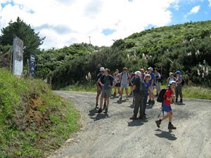 Image of tn_hbmoirshillmar08djpoggy.jpg