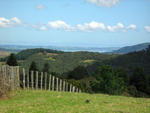 Image of tn_hbmoirshillmar08ehkaiparaharbour.jpg