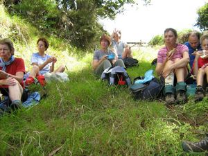 Image of tn_hbmoirshillmar08fclunch.jpg