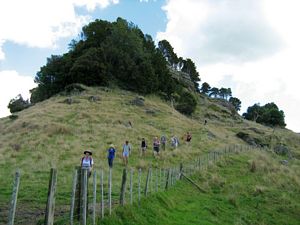 Image of tn_hbmoirshillmar08gmsugarloaf.jpg